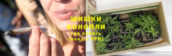 гидропоника Богородск