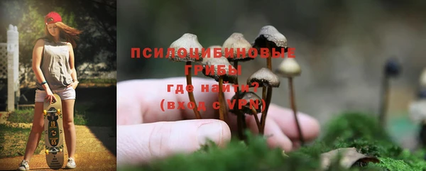 гидропоника Богородск