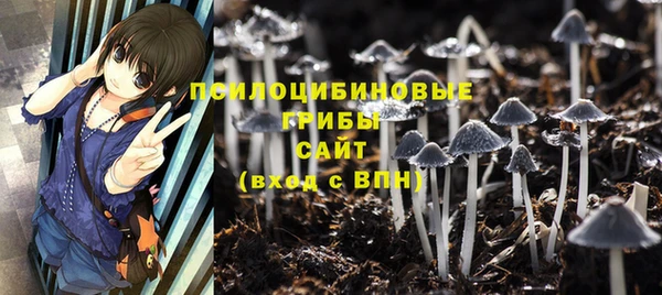 гидропоника Богородск