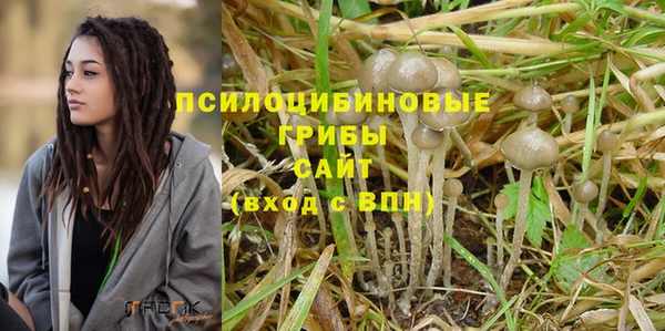 mdma Богданович