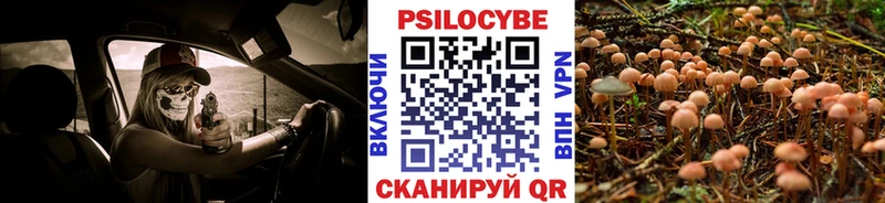 Галлюциногенные грибы GOLDEN TEACHER  гидра маркетплейс  Светлогорск 